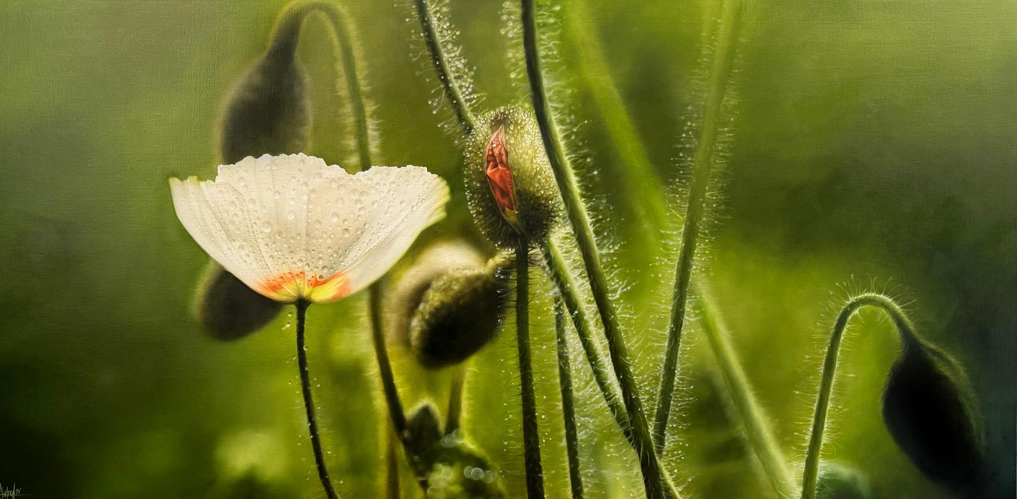 Morning dew 80 x 140 cm - Malereien